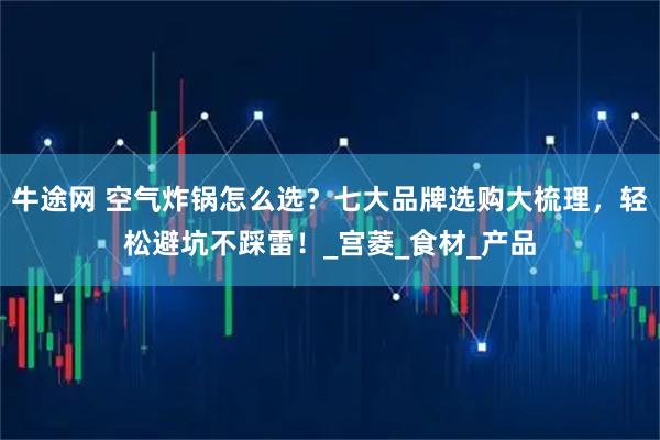 牛途网 空气炸锅怎么选？七大品牌选购大梳理，轻松避坑不踩雷！_宫菱_食材_产品