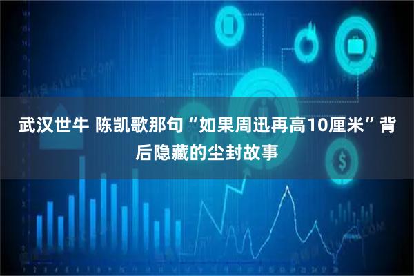 武汉世牛 陈凯歌那句“如果周迅再高10厘米”背后隐藏的尘封故事