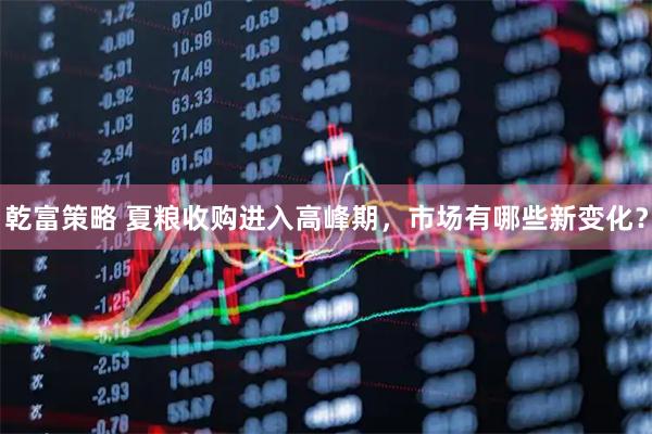 乾富策略 夏粮收购进入高峰期，市场有哪些新变化？